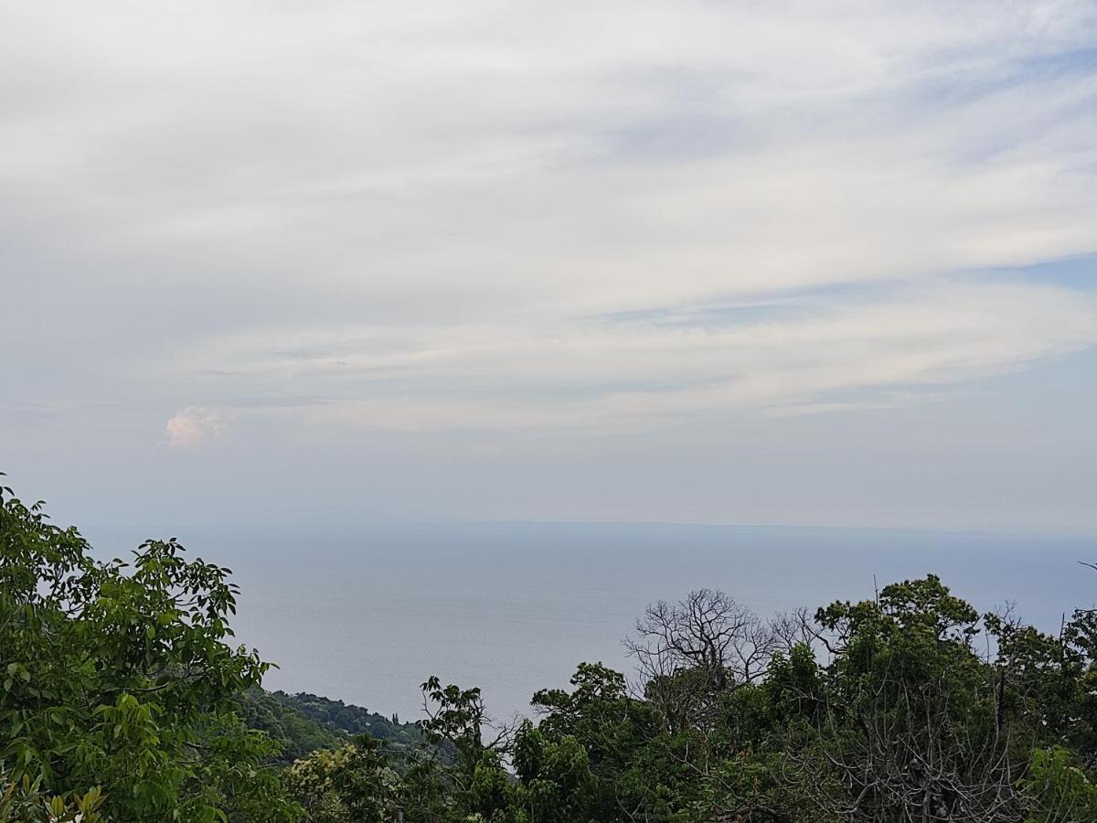 Cozy Blue Stone House With A Great Sea View. Villa Tsagarada Exterior photo